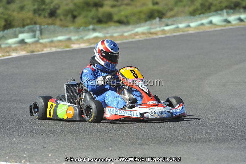 DSC (2762).JPG
